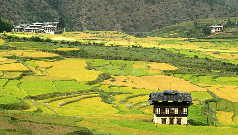 Mbti-bhutan-multisport-5